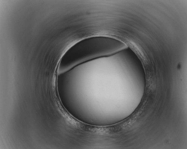 X0000096140900200801180849