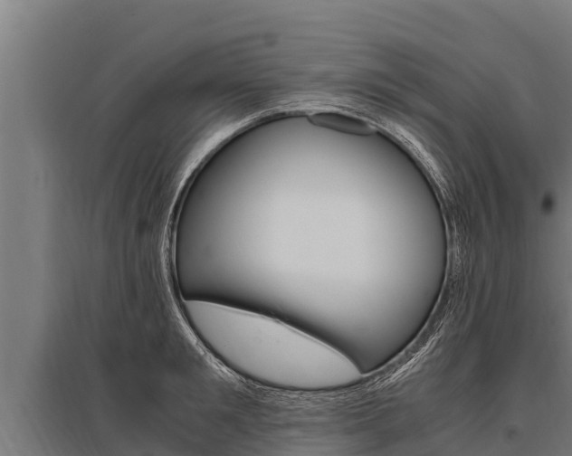X0000096140901200801180849