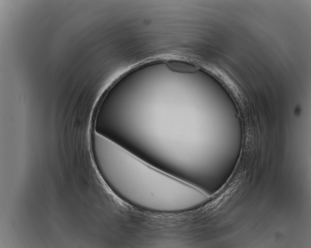 X0000096140902200801180849