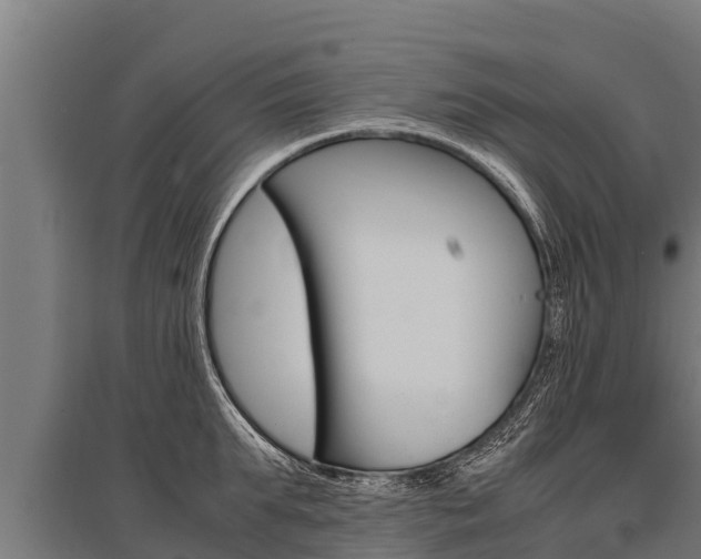 X0000096140903200801180849