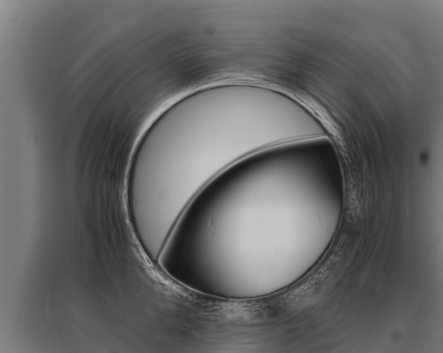 X0000096140904200801180849