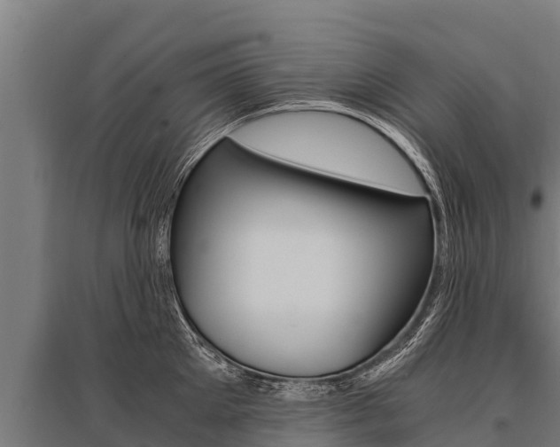 X0000096140905200801180849