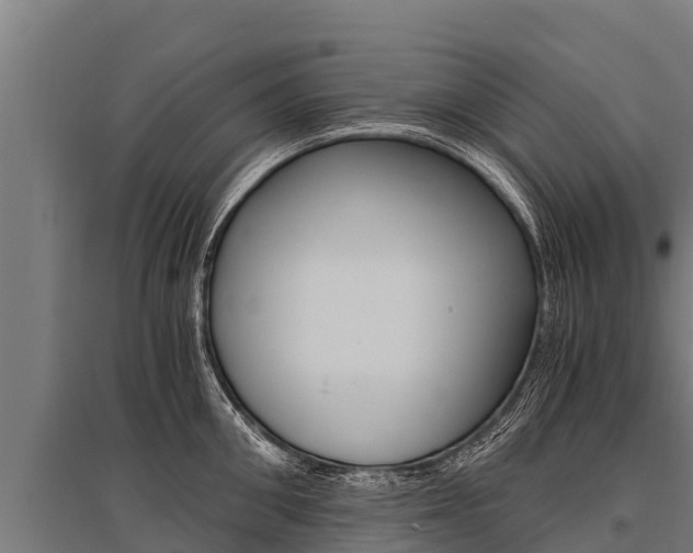 X0000096140906200801180849