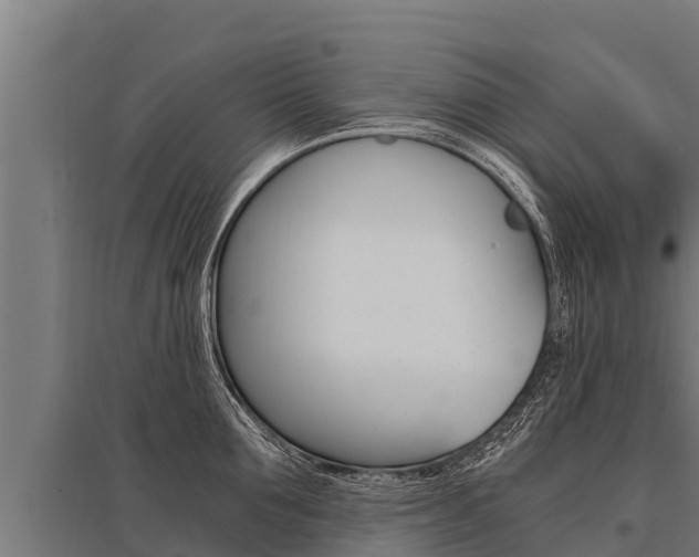 X0000096140907200801180849
