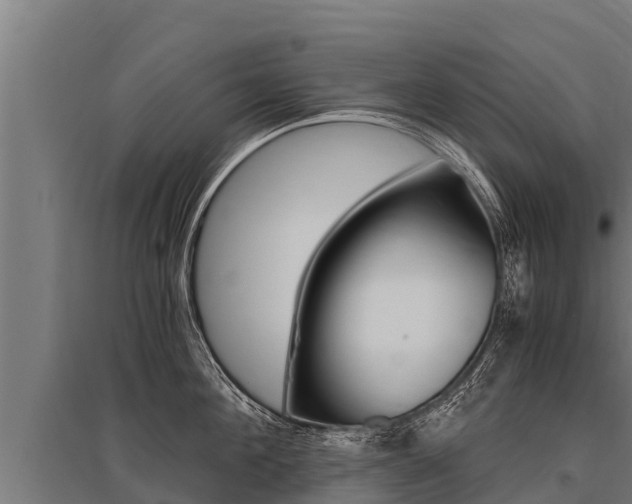 X0000096140908200801180849