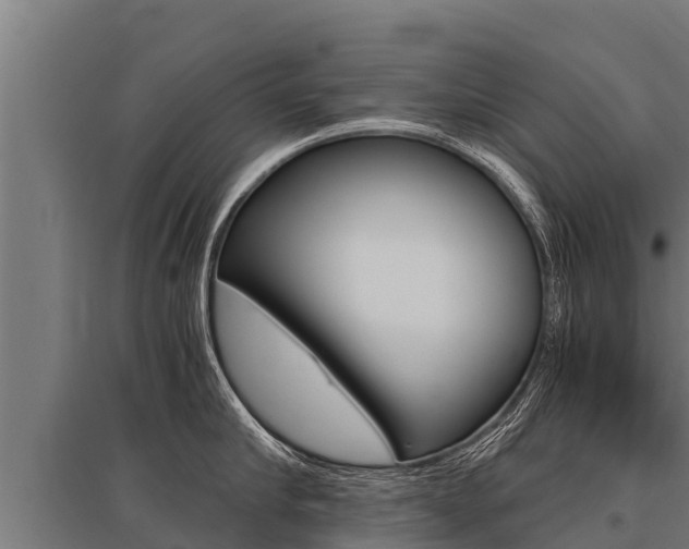 X0000096140910200801180849