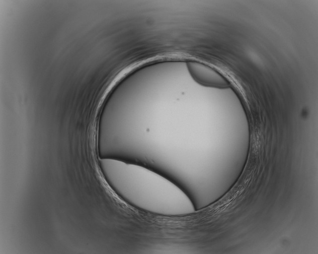 X0000096140911200801180849