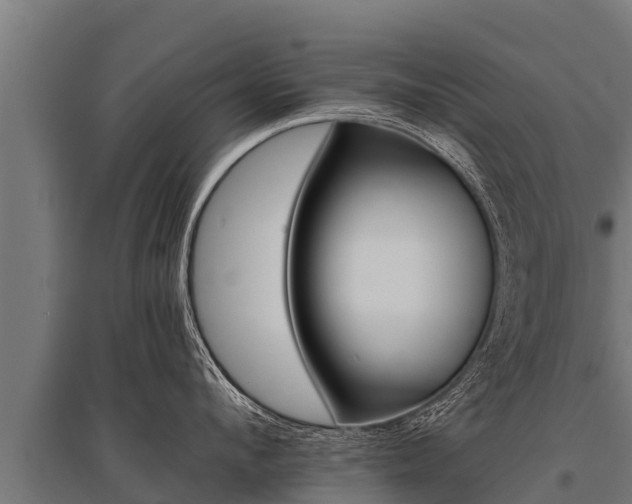 X0000096140912200801180849