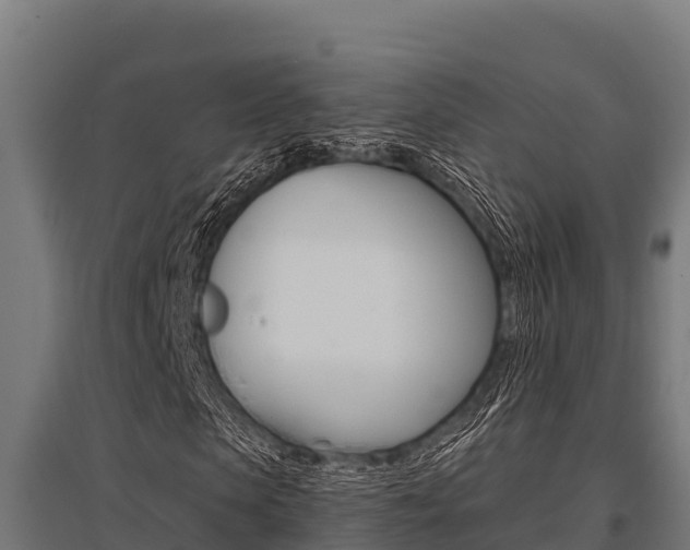 X0000096140913200801180848