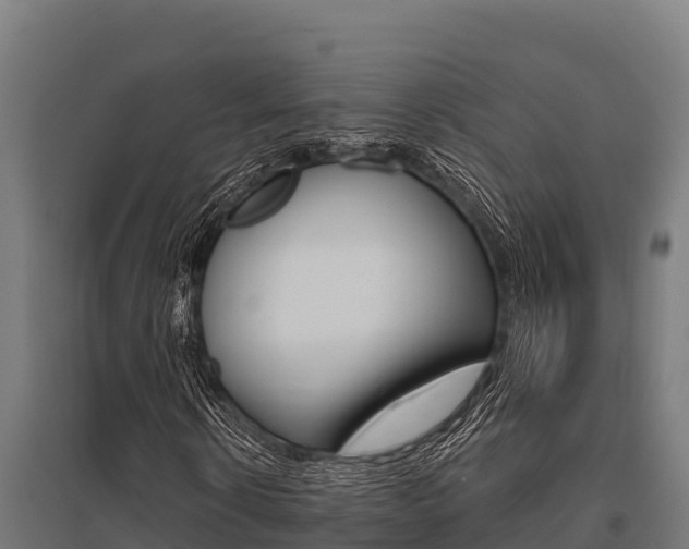 X0000096140914200801180848