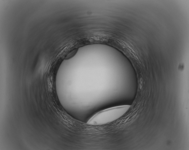 X0000096140915200801180848
