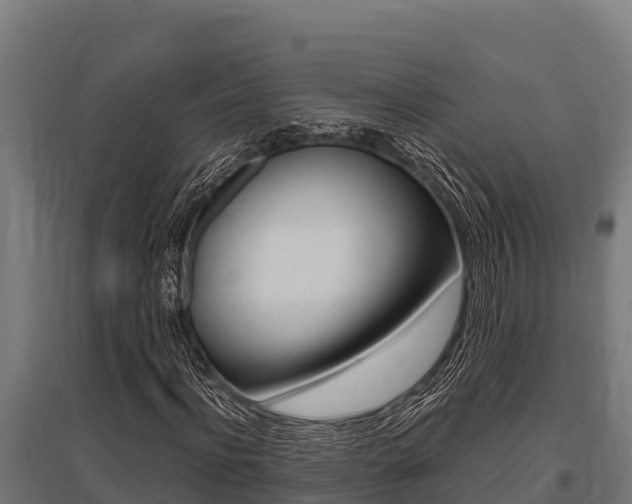 X0000096140916200801180848