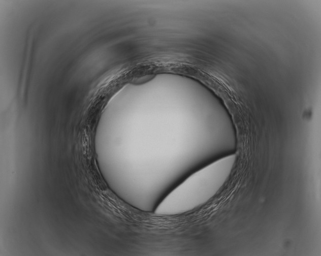 X0000096140917200801180848
