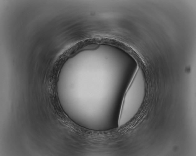 X0000096140919200801180848