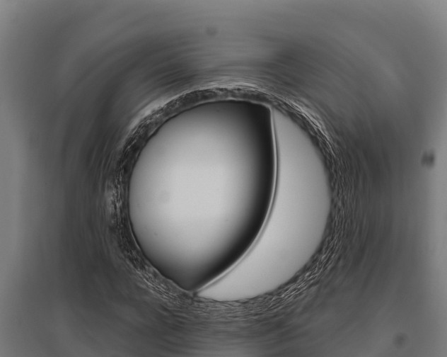 X0000096140920200801180848