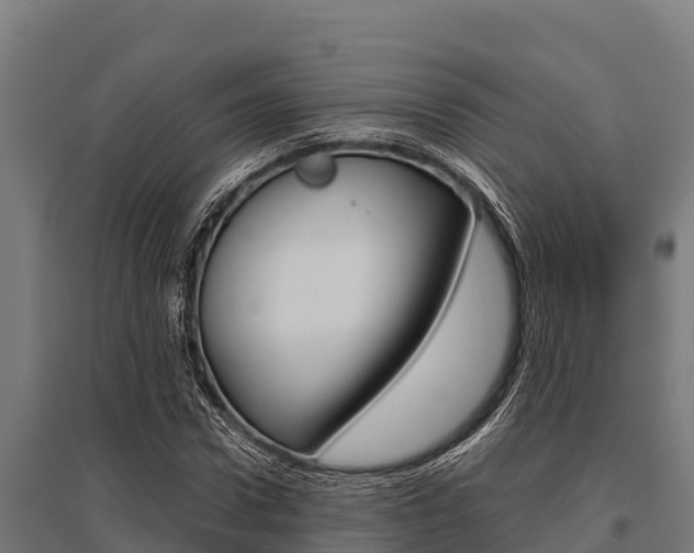 X0000096140922200801180848