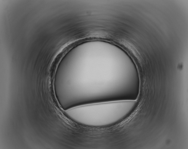 X0000096140923200801180848
