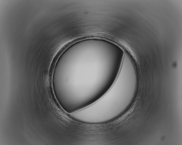 X0000096140924200801180848