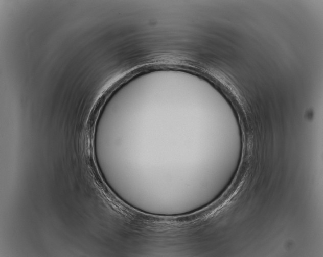 X0000096140925200801180848