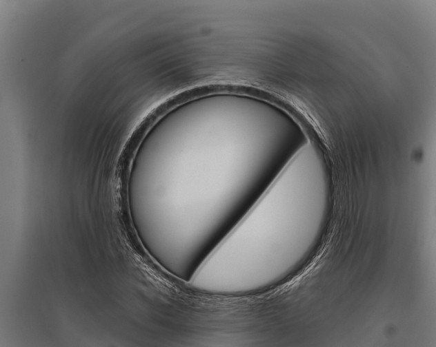 X0000096140926200801180848
