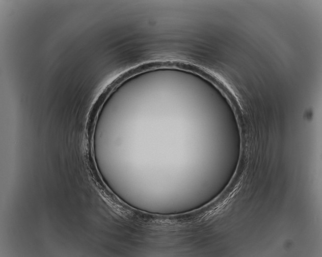 X0000096140927200801180848