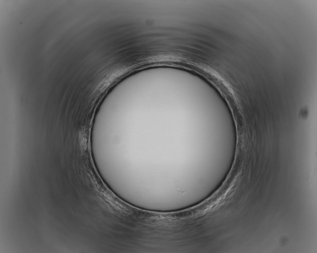 X0000096140929200801180848