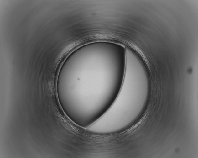 X0000096140930200801180848