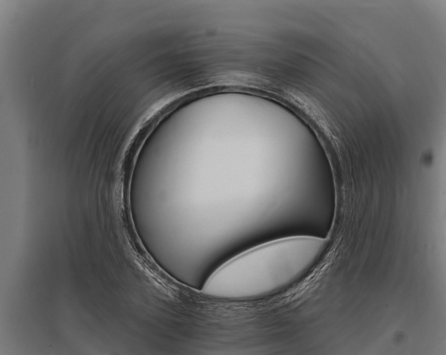 X0000096140931200801180848