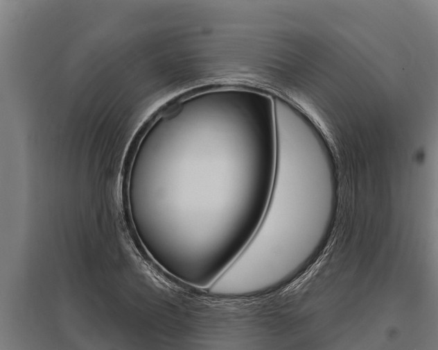 X0000096140932200801180848