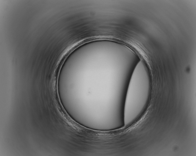 X0000096140933200801180848