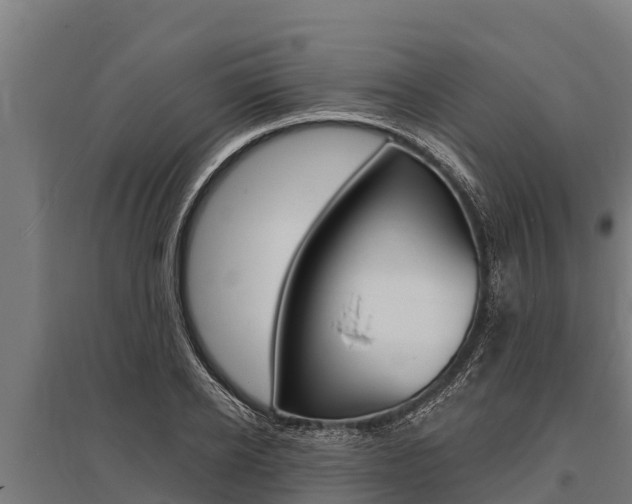 X0000096140934200801180848