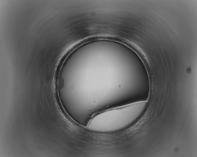 X0000096140935200801180848