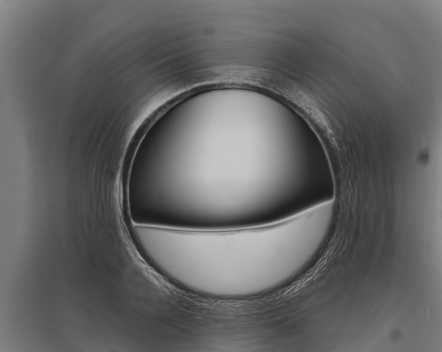 X0000096140936200801180848