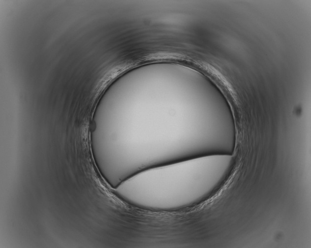 X0000096140937200801180848