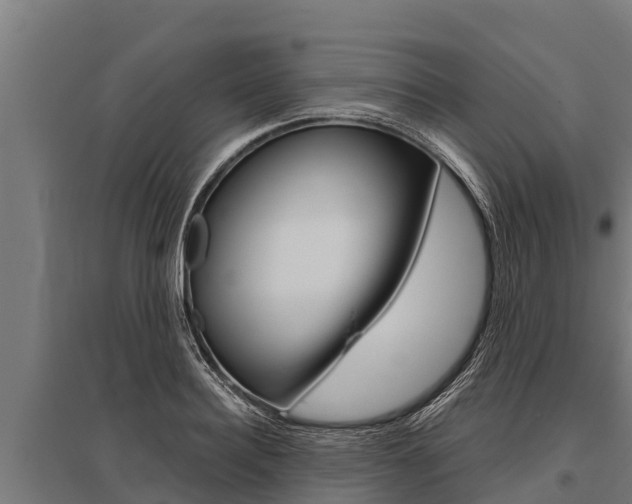 X0000096140940200801180849