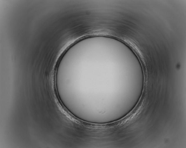 X0000096140941200801180849