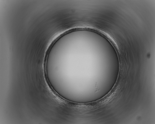 X0000096140943200801180849