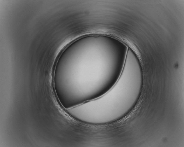X0000096140944200801180849