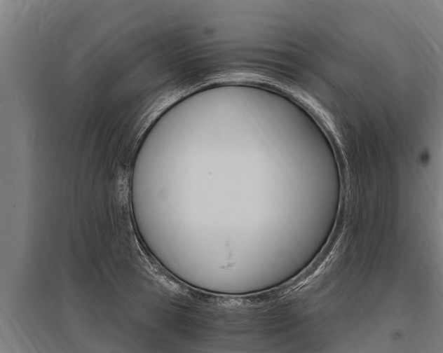 X0000096140945200801180849