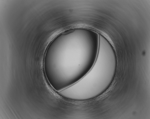X0000096140946200801180849