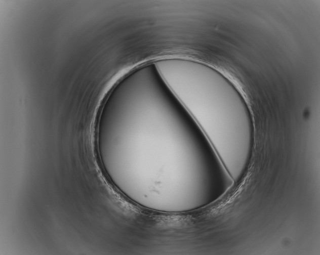 X0000096140949200801180849