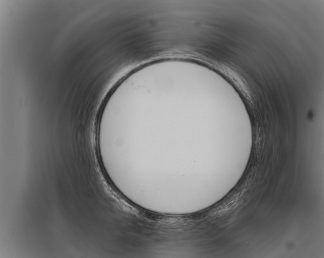 X0000096140950200801180849