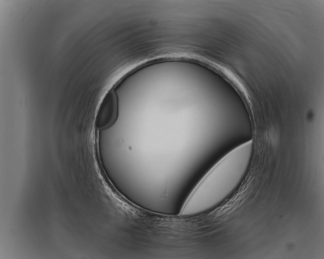 X0000096140951200801180849