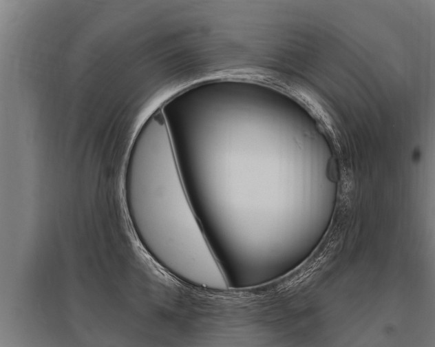 X0000096140952200801180849