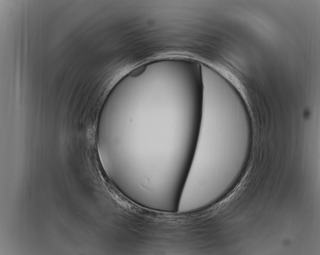 X0000096140953200801180849