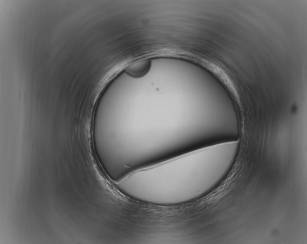 X0000096140954200801180849