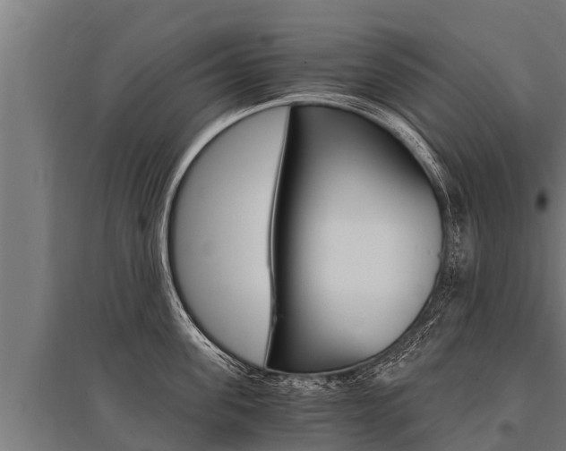 X0000096140955200801180849