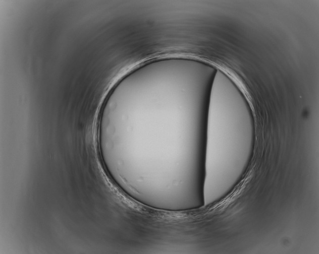 X0000096140957200801180849