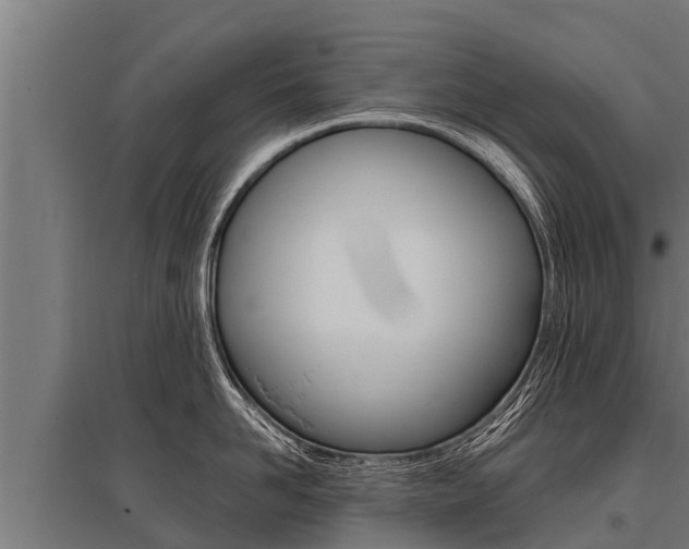 X0000096140958200801180849