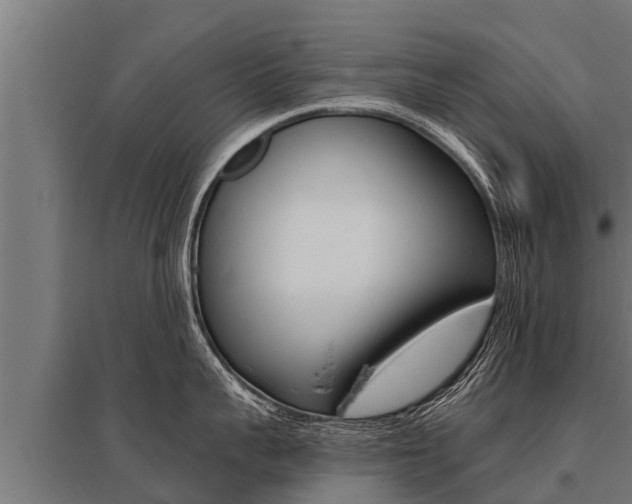 X0000096140959200801180849